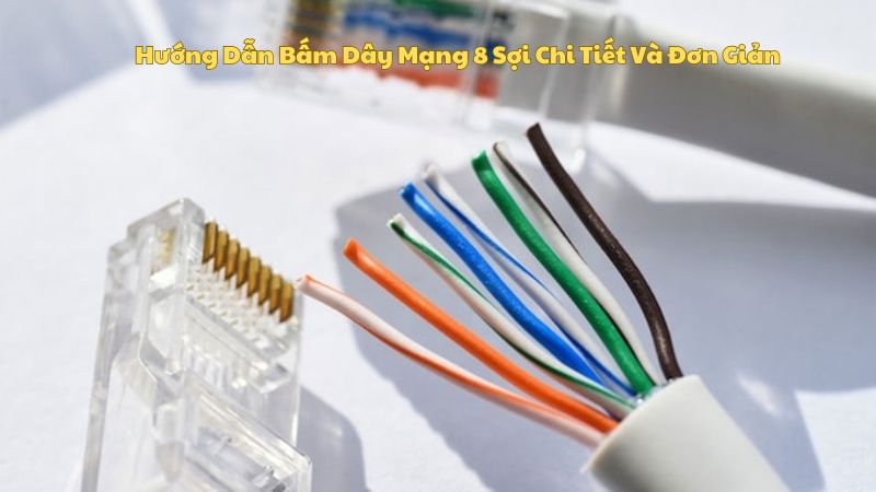 Hướng Dẫn Bấm Dây Mạng 8 Sợi Chi Tiết Và Đơn Giản