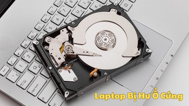 Laptop Bị Hư Ổ Cứng: Nguyên Nhân, Dấu Hiệu và Cách Khắc Phục Hiệu Quả